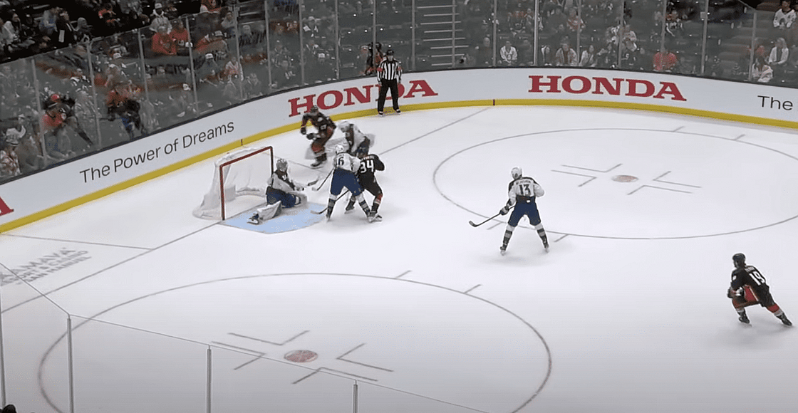 Avalanche Ducks