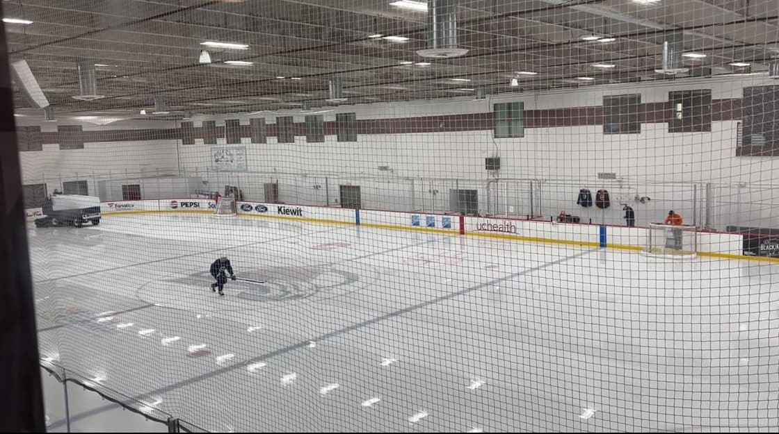 Avalanche Landeskog