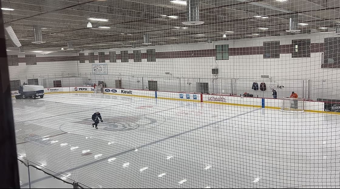 Avalanche Landeskog