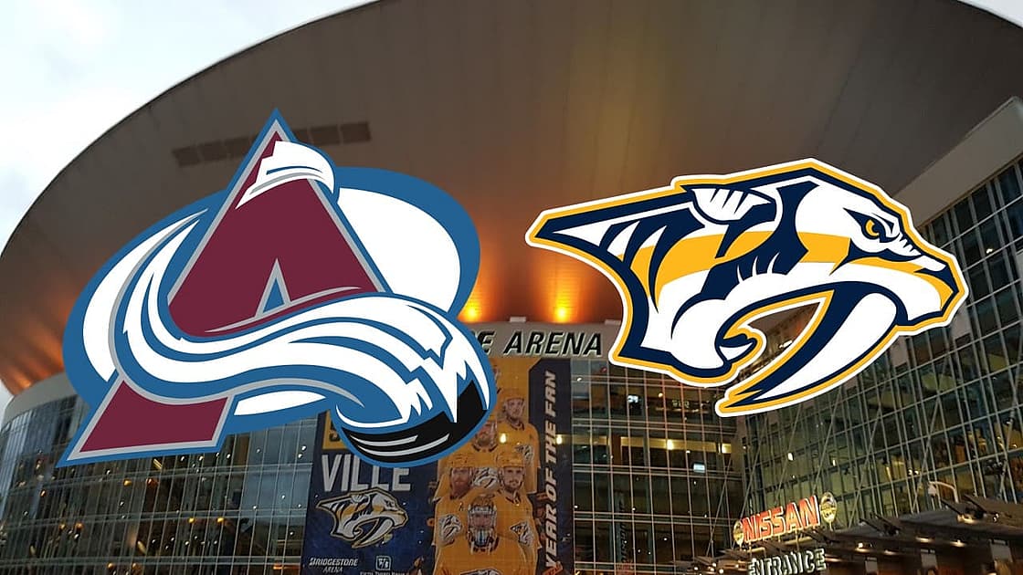 Avalanche predators