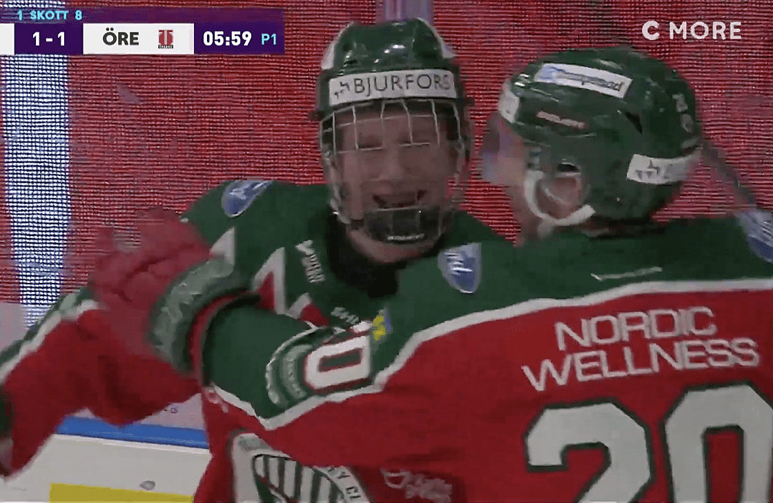 nhl draft stenberg
