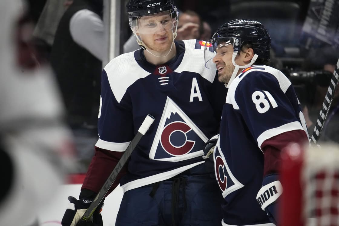 Colorado Avalanche Denis Malgin NHL