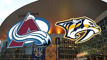 Avalanche predators