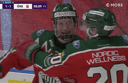 nhl draft stenberg