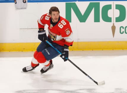 NHL trade market, Mike Hoffman